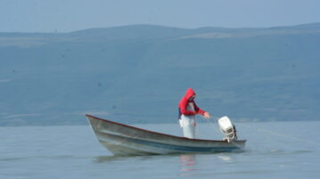 Fish shortage in Lake Chapala blamed on illegal poaching and alien species