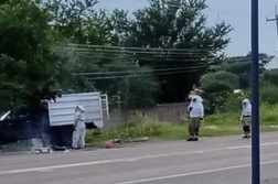 Bee swarm causes road closure in El Chante