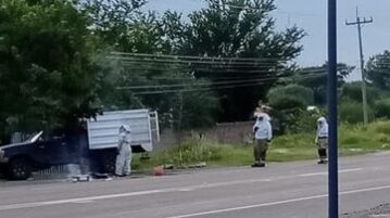 Bee swarm causes road closure in El Chante