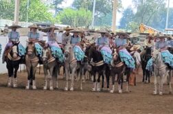 Mariachis and horses: the International Mariachi Festival begins