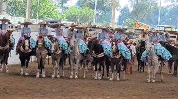 Mariachis and horses: the International Mariachi Festival begins