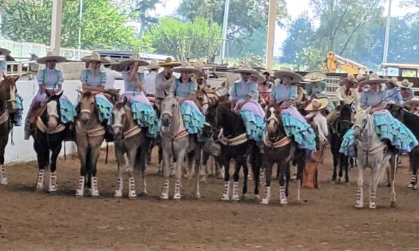 Mariachis and horses: the International Mariachi Festival begins