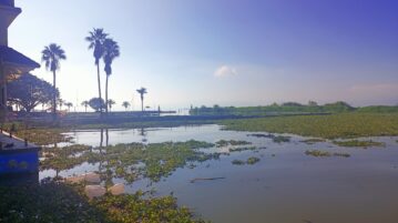 First Colloquium of the Network of Multidisciplinary Studies of Lake Chapala held by Zoom