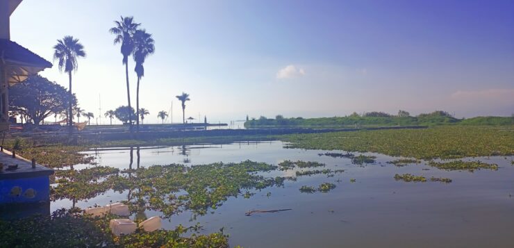 First Colloquium of the Network of Multidisciplinary Studies of Lake Chapala held by Zoom