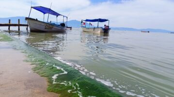 Lake Chapala's water level has dropped one centimeter in the last week