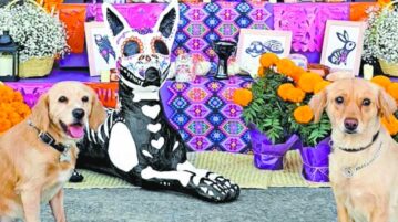 Jocotepec to have pet altars for Day of the Dead