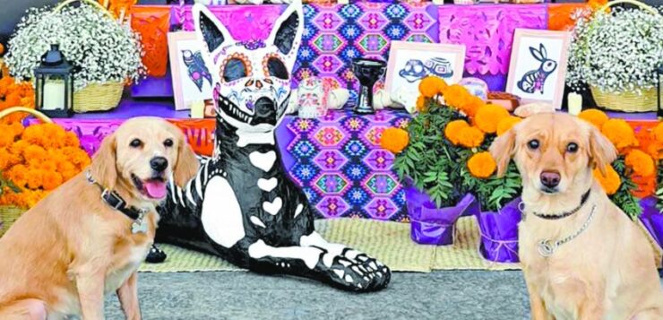 Jocotepec to have pet altars for Day of the Dead