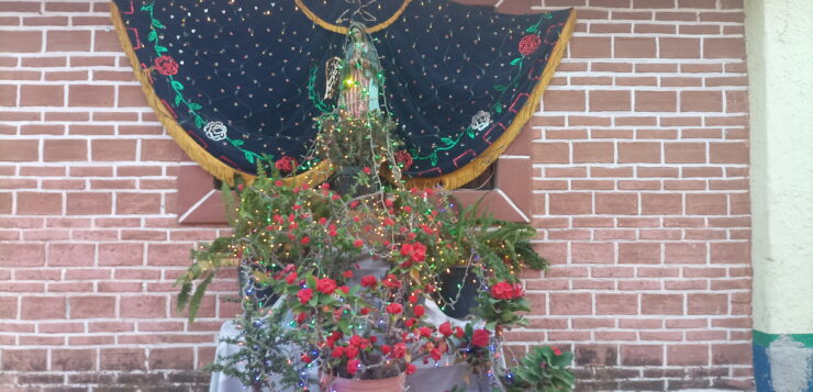 PHOTO GALLERY San Juan Cosalá residents decorate Guadalupana altars