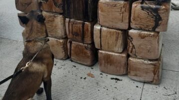 National Guard seizes marijuana in Ixtlahuacan de los Membrillos