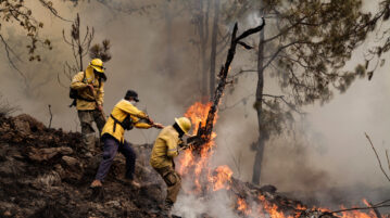 Jalisco foresees a bad year for forest fires because of La Niña