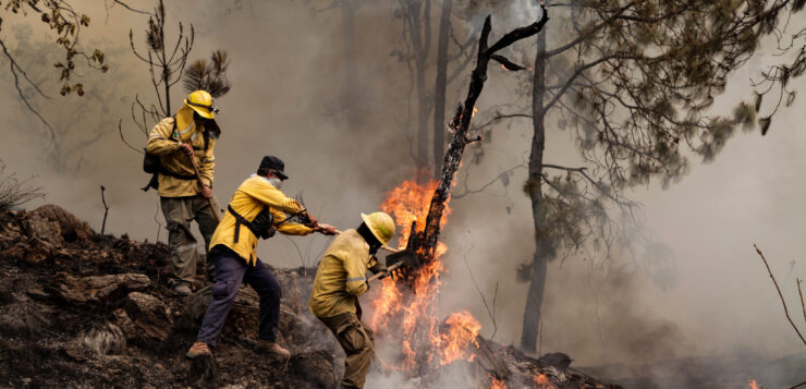 Jalisco foresees a bad year for forest fires because of La Niña