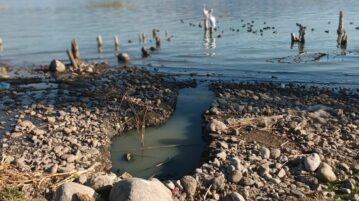 Lakeside Chronicles by Maria del Refugio Reynoso Medina