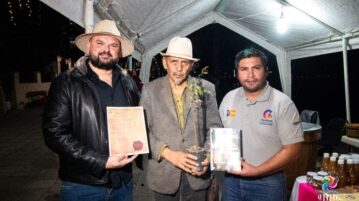 The second "ahuehuete de la Noche Triste" arrives in Ajijic