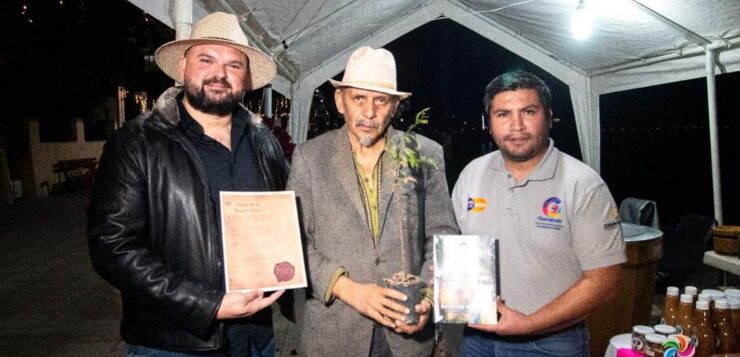 The second "ahuehuete de la Noche Triste" arrives in Ajijic