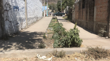 Residents request cleaning of Cuauhtémoc street canal