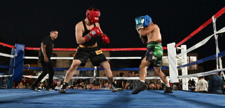 Career boxers recognized during exhibition fight in Chapala