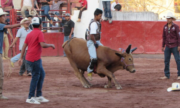 Children's Day celebrated joyfully at the Ajijic Lienzo Charro