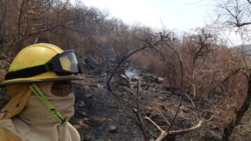 Jocotepec firefighters have dealt with 211 grass fires since January