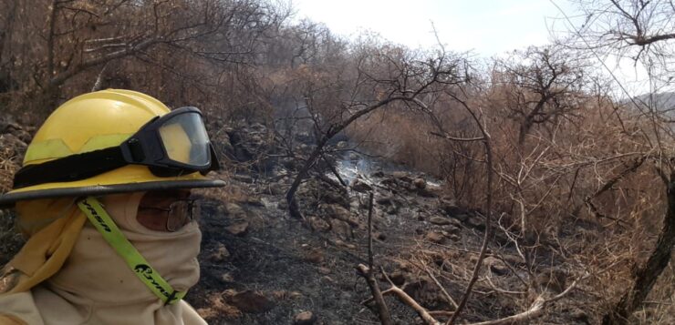 Jocotepec firefighters have dealt with 211 grass fires since January