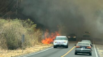 At least 1,500 hectares in Chapala have been burned in fires