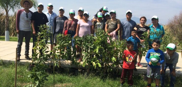 Sowers of Life group reforests public areas in Lakeside