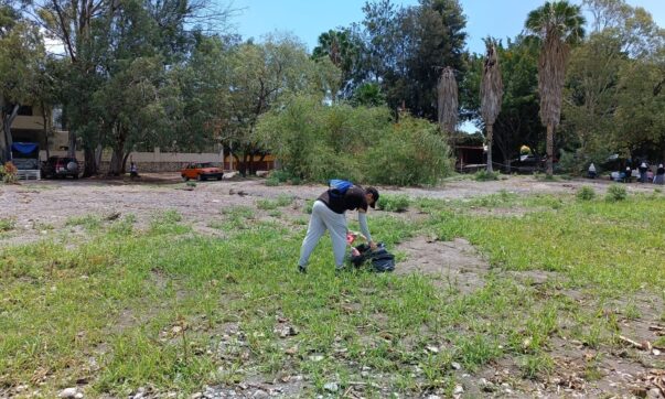 Residents of Ajijic are asked not to litter during the rainy season