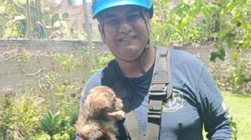 Dog rescued after falling into a well