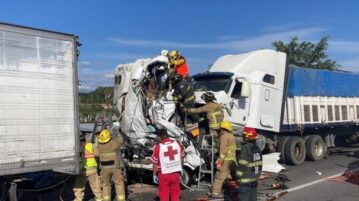 Seven fatalities in horrific El Arenal road pileup