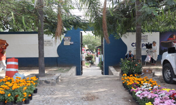 Ajijic cemetery ready for Day of the Dead