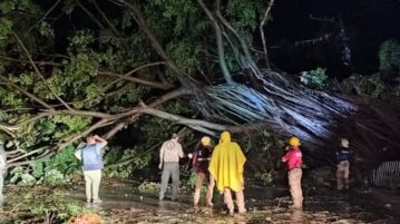 Jalisco, Colima and Nayarit suffered the ravages of the category 4 hurricane