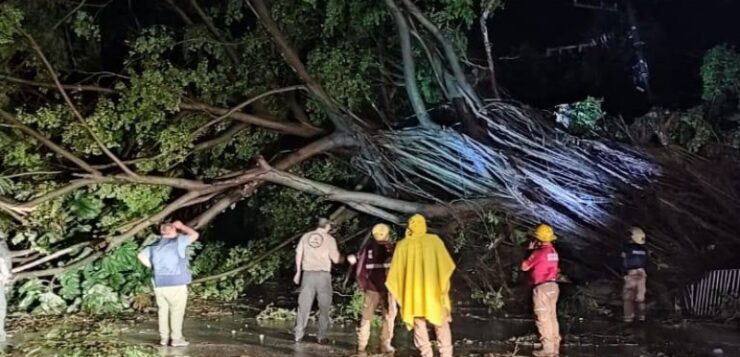 Jalisco, Colima and Nayarit suffered the ravages of the category 4 hurricane