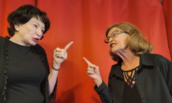 Bette & Joan at The Bare Stage: a brilliantly acted nuanced character study