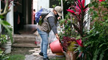 Another recorded case of dengue in Jocotepec