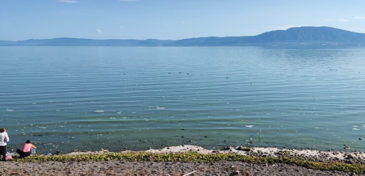 CONAGUA: Lake Chapala level at 20-year low