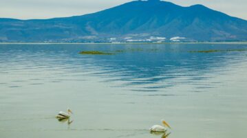 Understanding the level of Lake Chapala from official reports