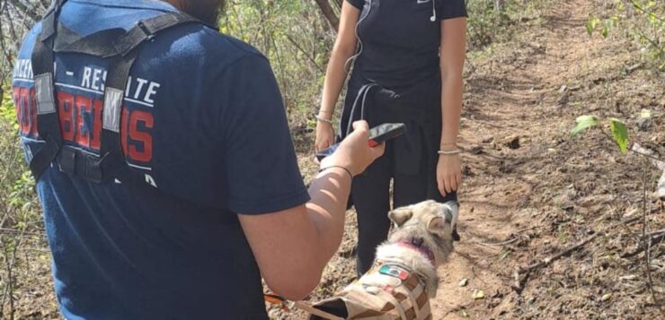 Emergency workers rescue lost hiker