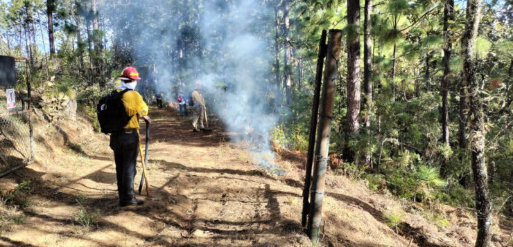 Jalisco forecast to have critical forest fire season