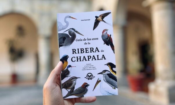 Guide to the Birds of La Ribera to be presented in Ajijic March 3