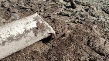 Wastewater running directly into Lake Chapala from exposed pipes