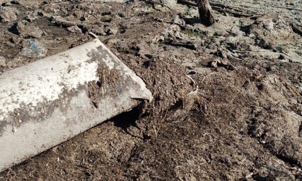 Wastewater running directly into Lake Chapala from exposed pipes