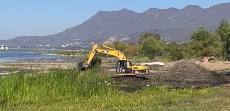 Rising Alarm over multi-species “ecocides” in Lake Chapala