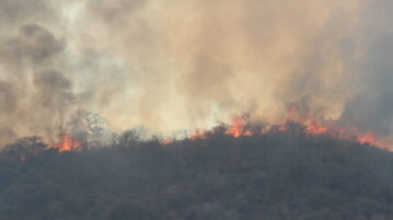 Timeline: fire devours hills of Ixtlahuacán de los Membrillos and Chapala