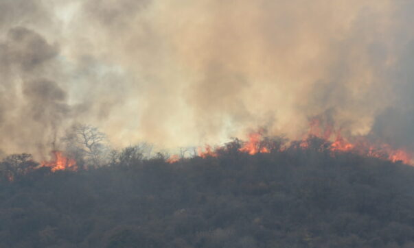 Timeline: fire devours hills of Ixtlahuacán de los Membrillos and Chapala