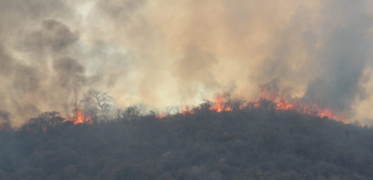 Timeline: fire devours hills of Ixtlahuacán de los Membrillos and Chapala