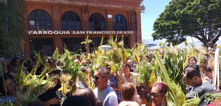 Crowds of Chapala faithful have palms blessed at midday masses