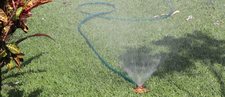 Gardens and swimming pools can lower Ajijic’s water table