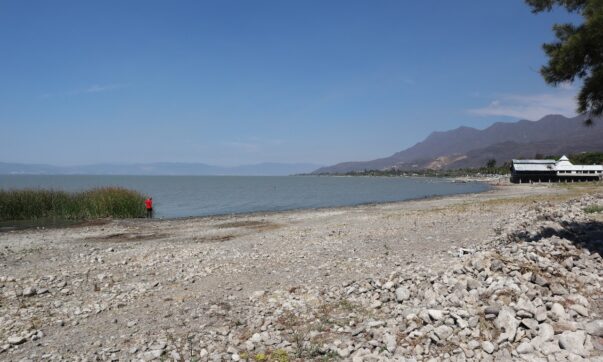 Gardens and swimming pools can lower Ajijic’s water table