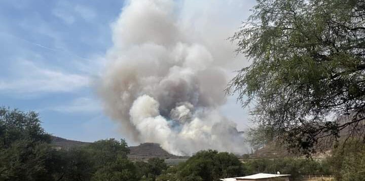 Forest fires persist in Jalisco mountains