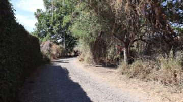 Work begins on new Ajijic cemetery near current municipal site