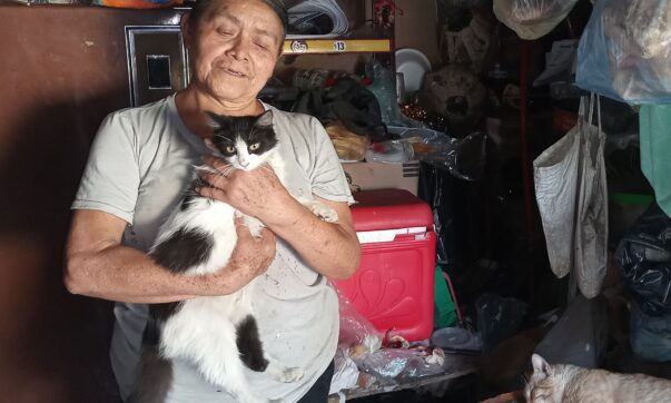 Shop owner seeks support to feed her cats